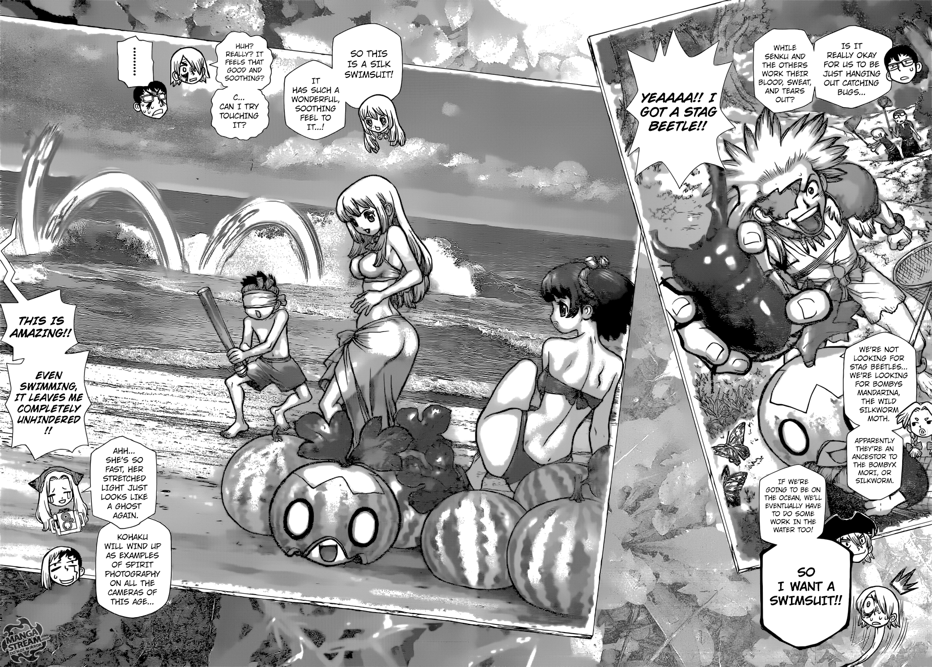 Dr. Stone Chapter 99 11